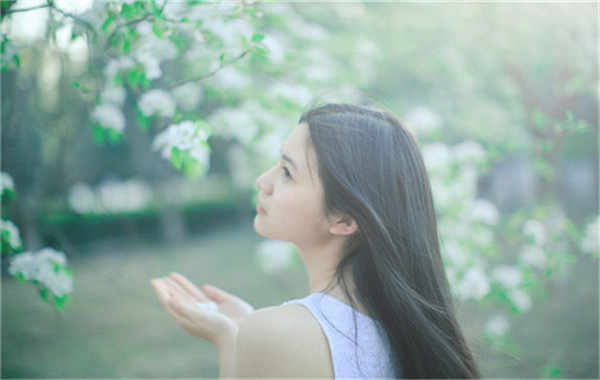 柘荣验血查男女几周可以验(验血查男女结果图)